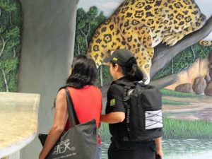 Exploração sexual de meninas indígenas