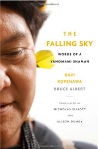 THE FALLING SKY by D. Kopenawa & B. Albert (2013)