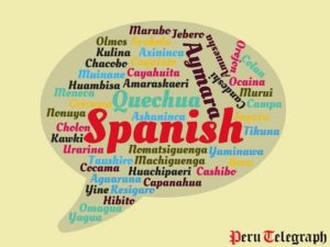 2017 Peruvian National Census