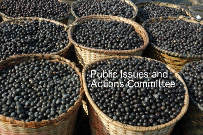 Public Issues and Actions Committee PIAC