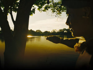 film owners of the water