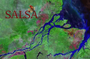 SALSA