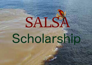 SALSA Scholarship-new2