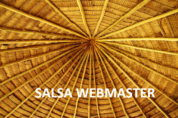 SALSA Website and Social Media Team (5-20-20)