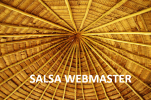 Equipo de la web y las redes sociales de SALSA (5-20-20)