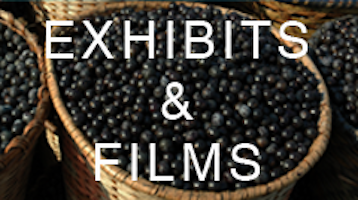FILMS
