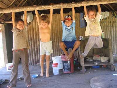 Summer Schools in Lowland South America