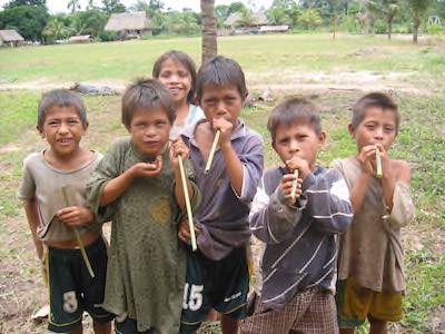 Teaching Lowland South America - News and Resources