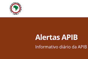 Alertas APIB