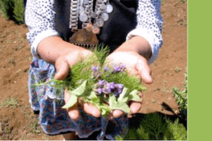 Centro para la formación y desarrollo de la salud del pueblo mapuche Ta Iñ Xemotuam