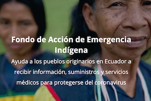 Fondo de Acción de Emergencia Indígena