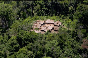 Yanomami Bruce Albert