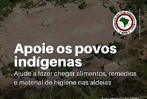 apib-vaquinha