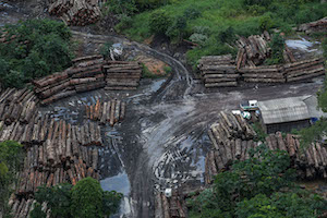 desmatamento amazonia