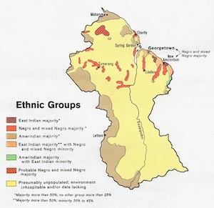 Guyana ethnic groups