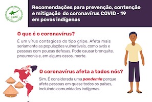 Portugues infografia covid-19