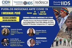 webinar CIDH Peru covid-19