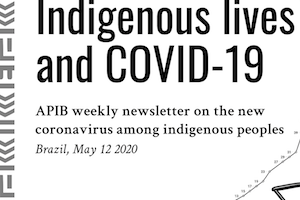 APIB