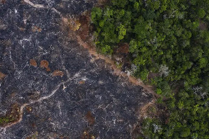 Brazil using coronavirus to cover up assaults on Amazon, warn activists