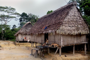 Vale do Javari, no Amazonas, vive dias de apreensão com chegada da Covid-19 e aumento de invasões (05-29-20)