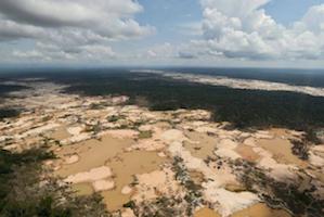 Los crímenes ambientales no se detienen durante la pandemia (5-15-20)