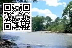 Puerto Azul - Cacataibo 2