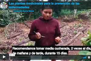 Sacha Warmi Video