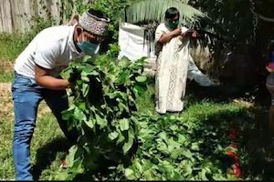 Medicina tradicional y espiritualidad amazónica en el contexto de la pandemia (5-21-20)