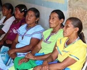 El Cejis eleva un informe a las Naciones Unidas sobre el estado de vulnerabilidad de los pueblos indígenas ante el coronavirus (6-26-20)
