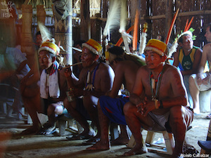 Poani, um tributo ao Rio Negro (6-20-20)