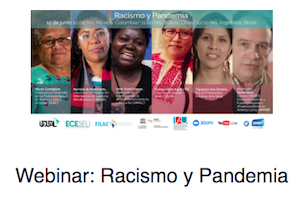 Webinares: Racismo y Pandemia, Viernes 12 de junio (6-4-20)