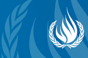 Call for Inputs: Rapporteur on the rights of indigenous peoples to the General Assembly Impact of COVID-19 on indigenous peoples (6-5-20)