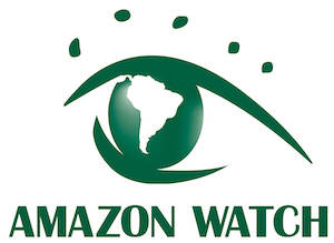 COVID-19 Threatens Indigenous Lives in the Amazon (6-5-20)