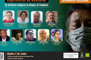 Seminario Virtual: “Experiencias de Monitoreo en Territorios Indígenas en Tiempos de Pandemia” (6-1-20)