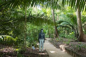 Disaster looms for indigenous Amazon tribes as COVID-19 cases multiply (6-15-20)