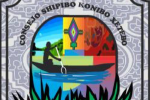 Carta del Consejo Shipibo Konibo Xetebo - COSHIKOX al elator Especial Sobre los Derechos de los Pueblos Indígenas (5-29-20)
