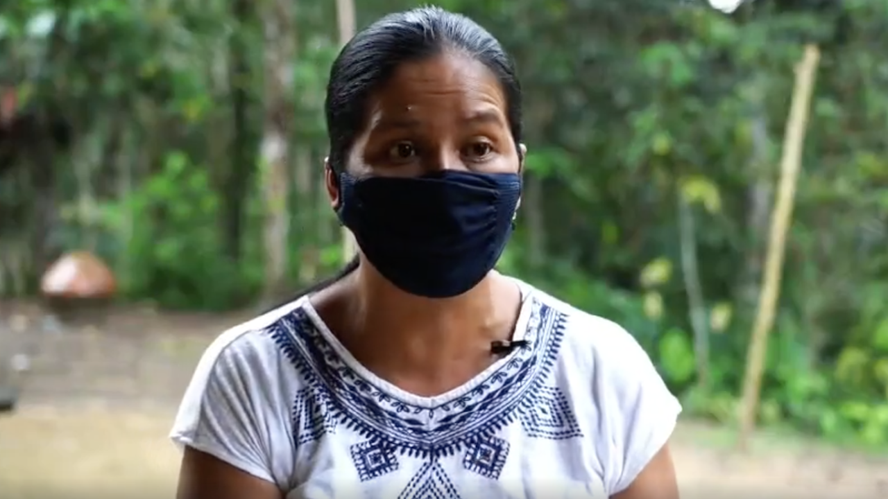 Entrevista en kichwa sobre el coronavirus con la Dra. Sacha Viteri Gualinga   (6-21-20)