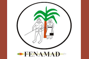 FENAMAD: Pueblos Indígenas en Aislamiento en grave peligro (8-2-20)