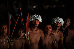 A Tragedy Foretold: COVID-19 Infections Spike in Yanomami Territory (11-19-20)