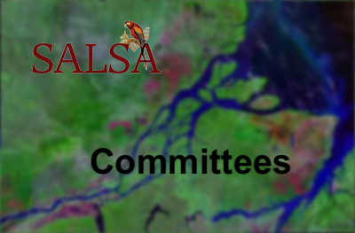 SALSA-Committees