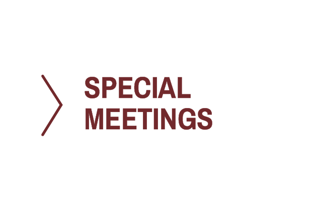 SALSA-2023 Special_meetings