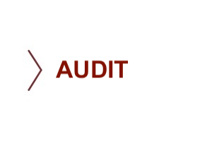 Audit
